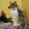 Отзыв от Лера Грекова